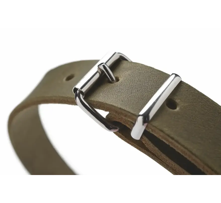 Dog Collar Aalborg Olive