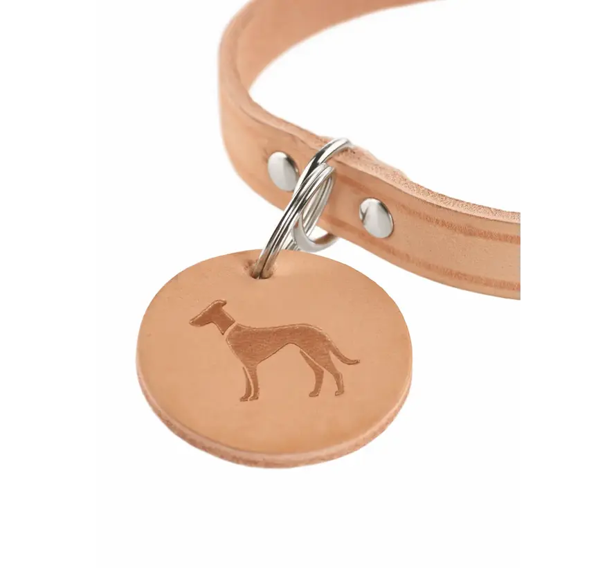 Hondenhalsband Aalborg Tan