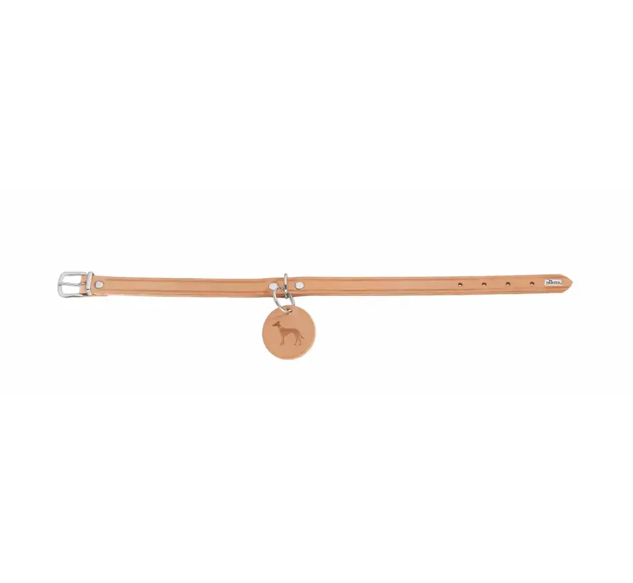Dog Collar Aalborg Tan