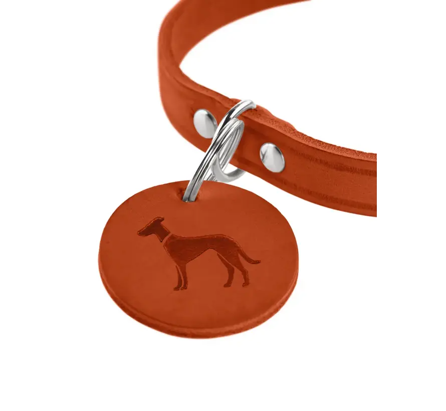 Hondenhalsband Aalborg Oranje