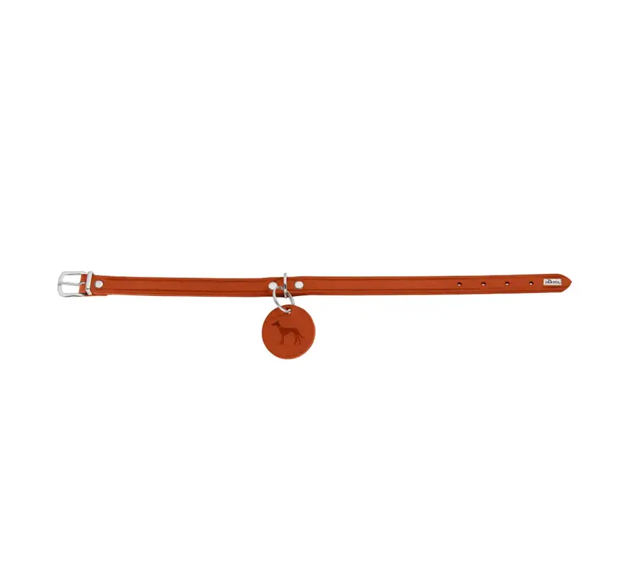 Dog Collar Aalborg Orange