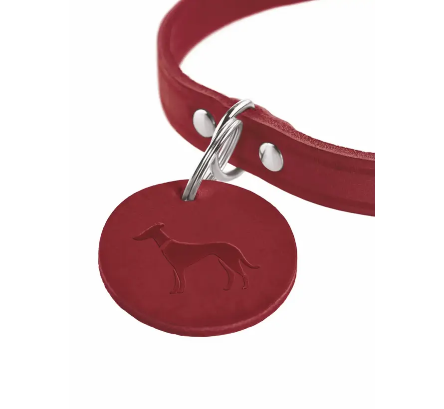 Hondenhalsband Aalborg Rood