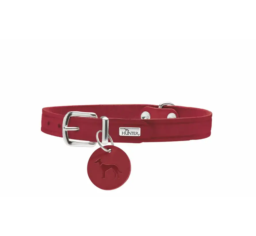 Hondenhalsband Aalborg Rood