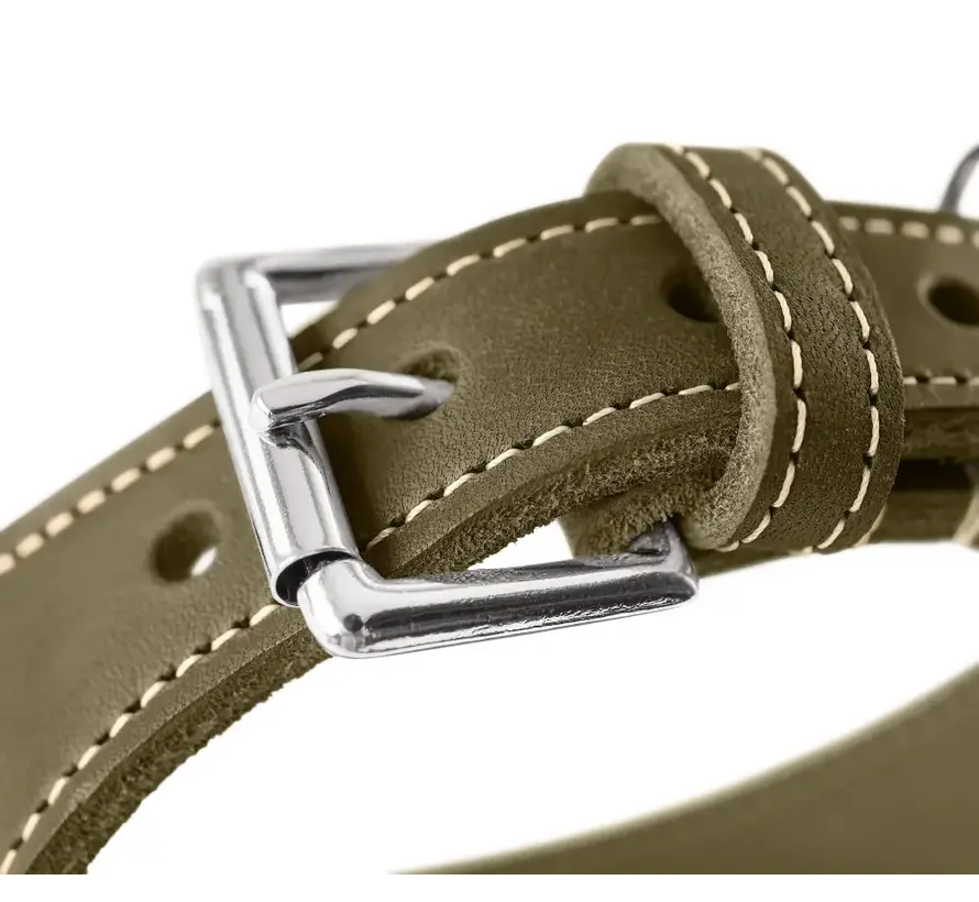 Greyhound Collar Aalborg Olive