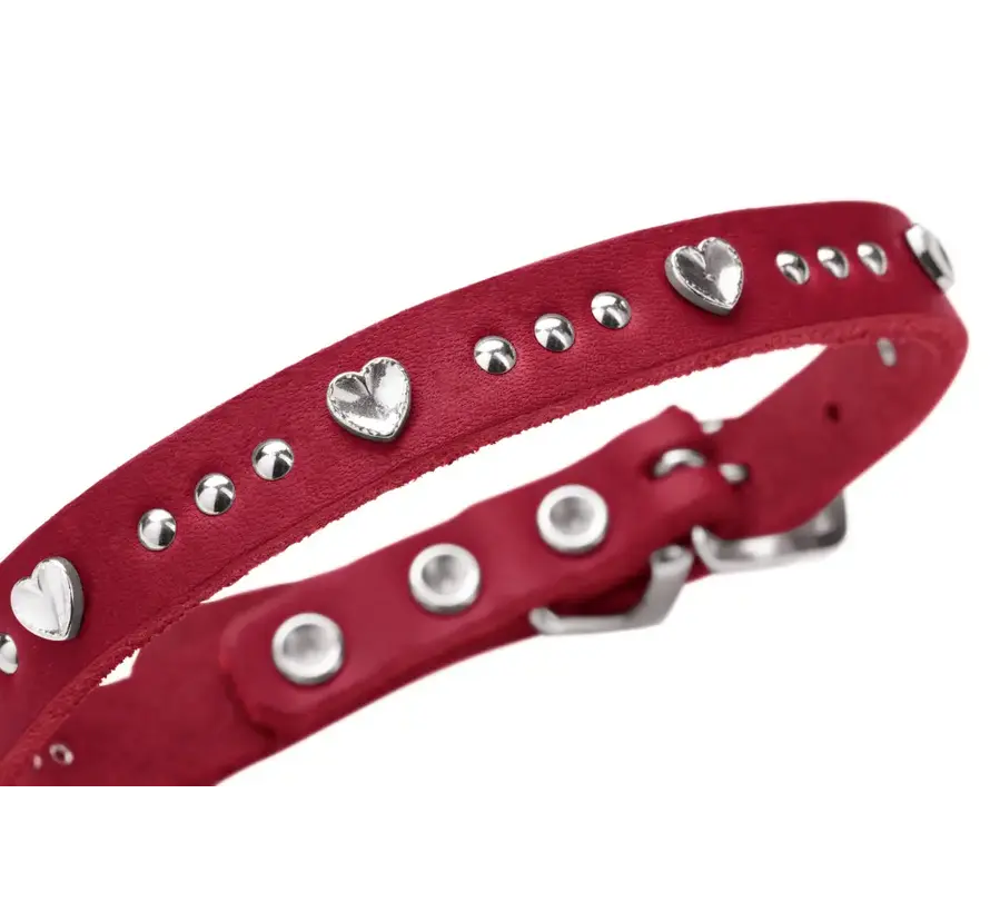 Hondenhalsband Aalborg Hearts Rood