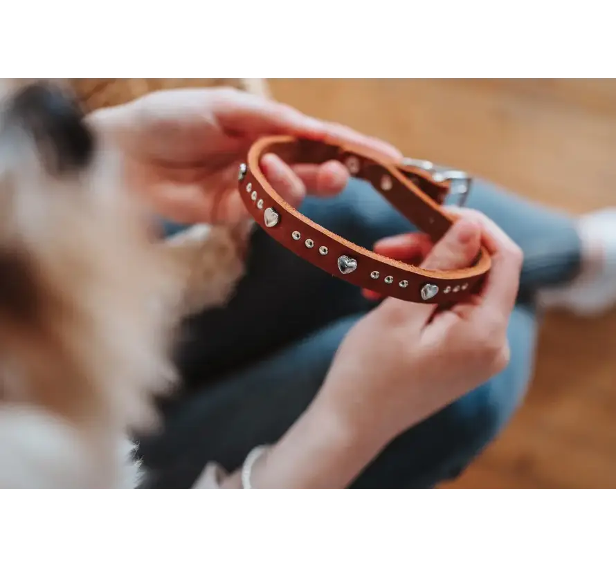 Hondenhalsband Aalborg Hearts Cognac