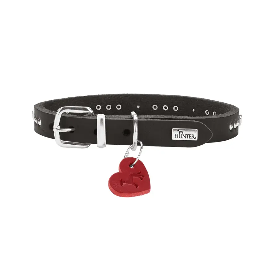 Hondenhalsband Aalborg Hearts Zwart