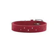 Hunter Hondenhalsband Aalborg Soul Rood