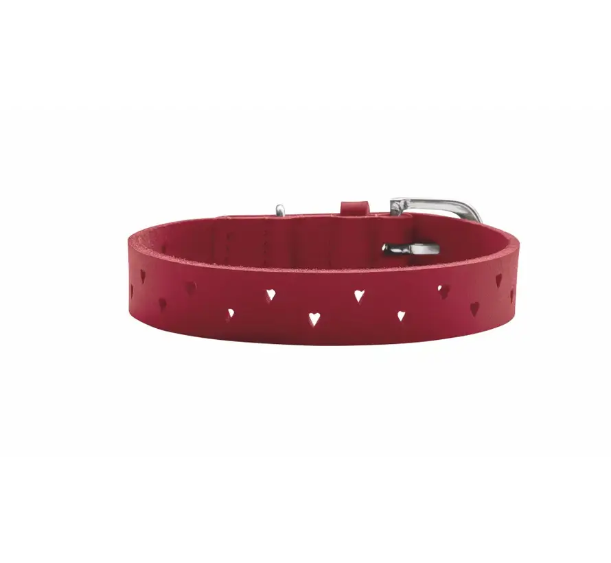 Hondenhalsband Aalborg Soul Rood