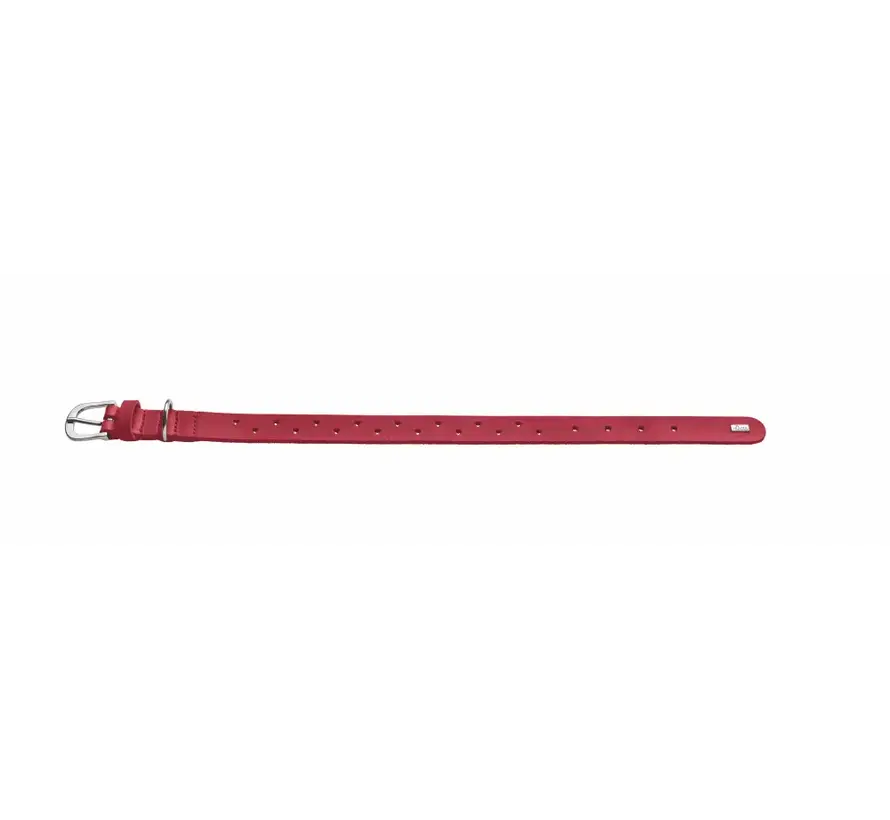 Hondenhalsband Aalborg Soul Rood