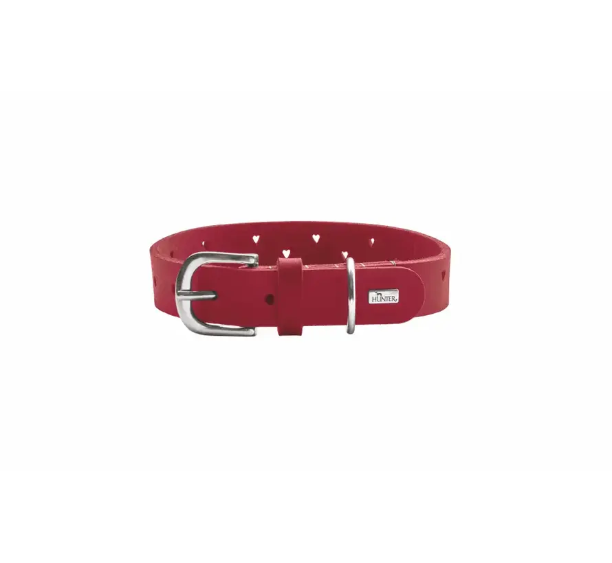 Hondenhalsband Aalborg Soul Rood