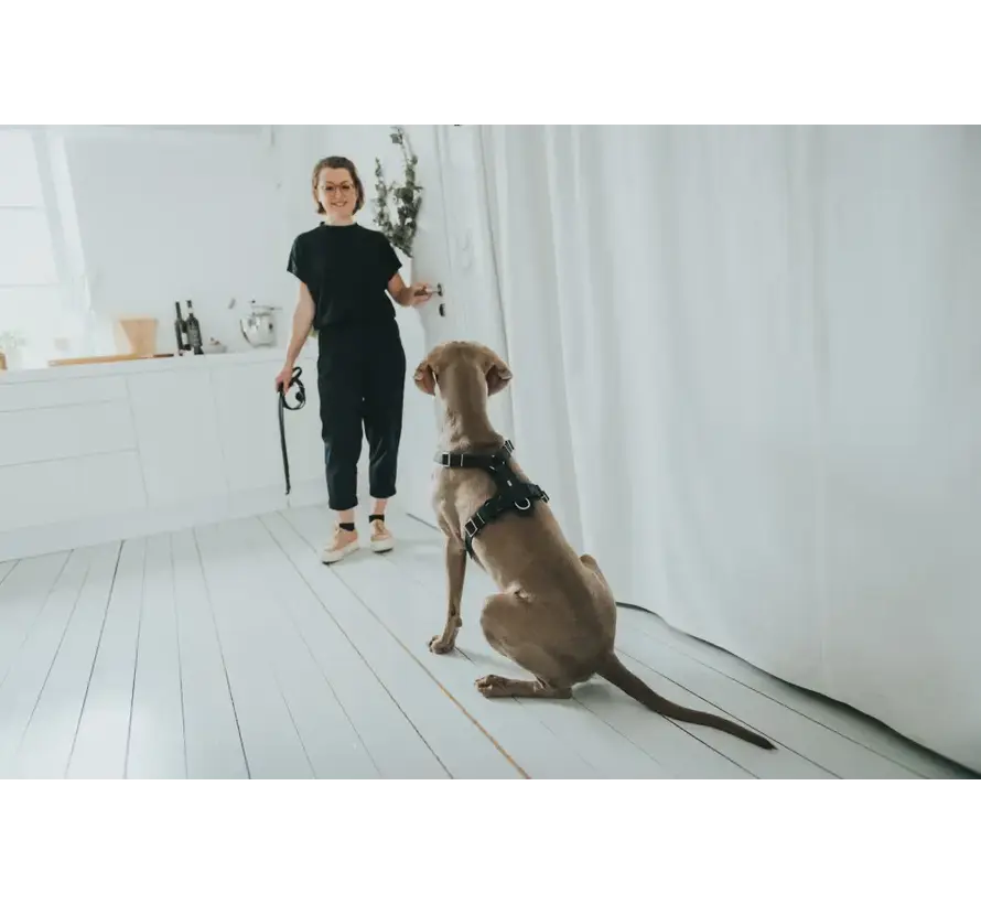 Dog Harness Aalborg Black