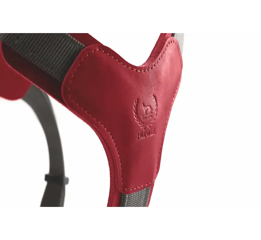 Dog Harness Aalborg Mixed Red