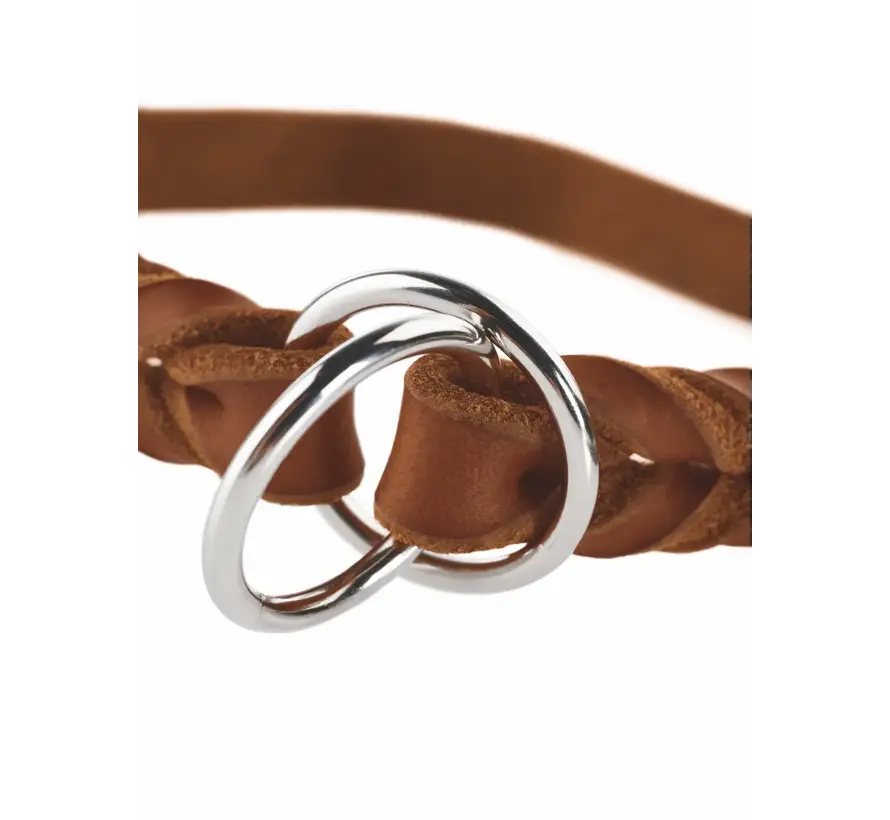 Retriever Collar Solid Education Cognac