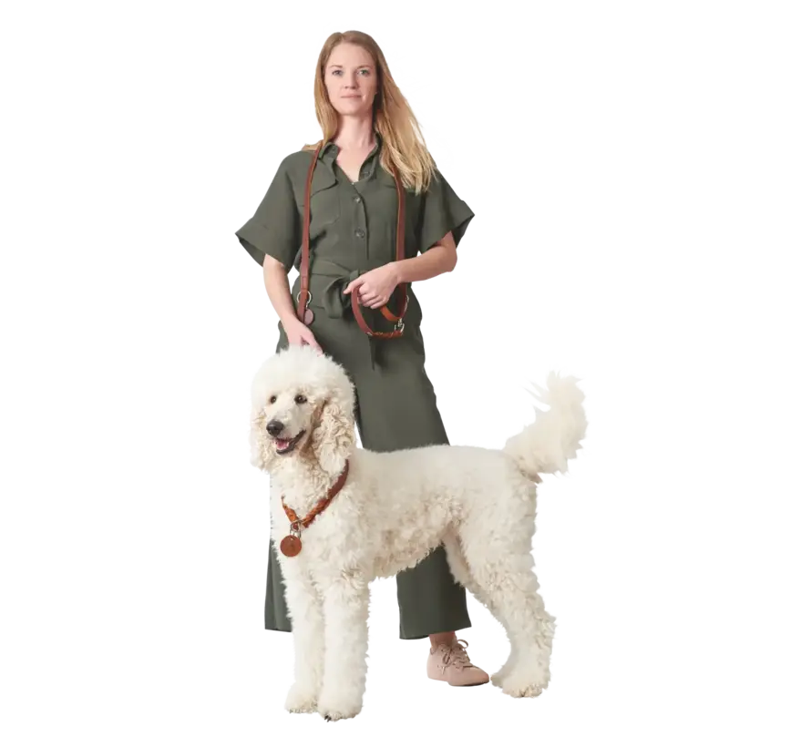 Retriever Collar Solid Education Cognac