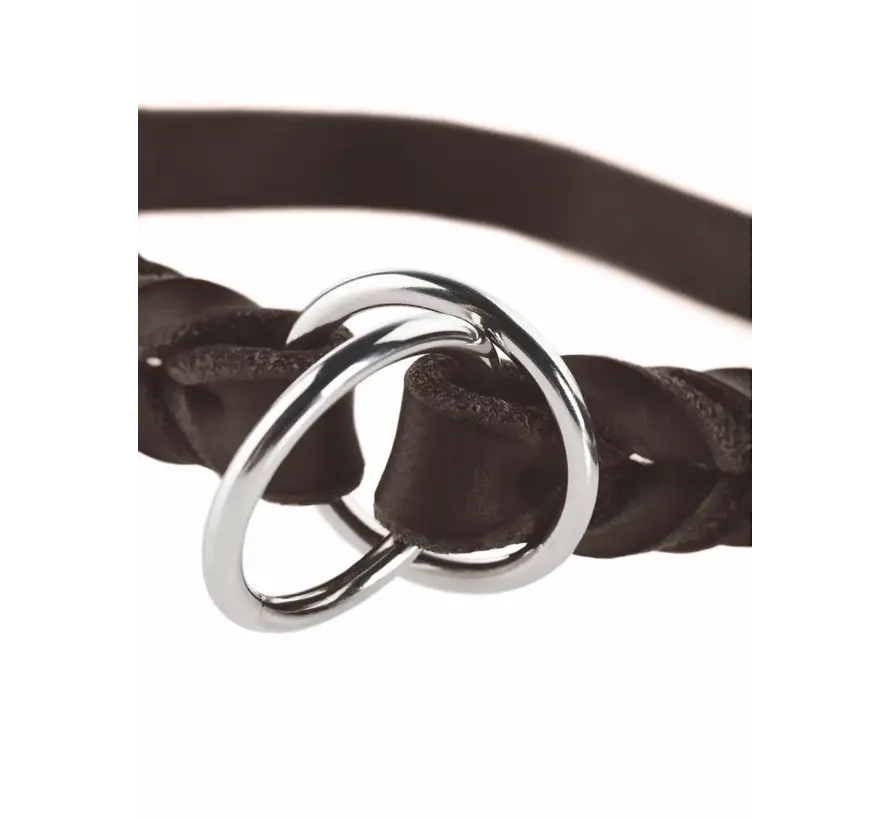 Retrieverhalsband Solid Education Bruin