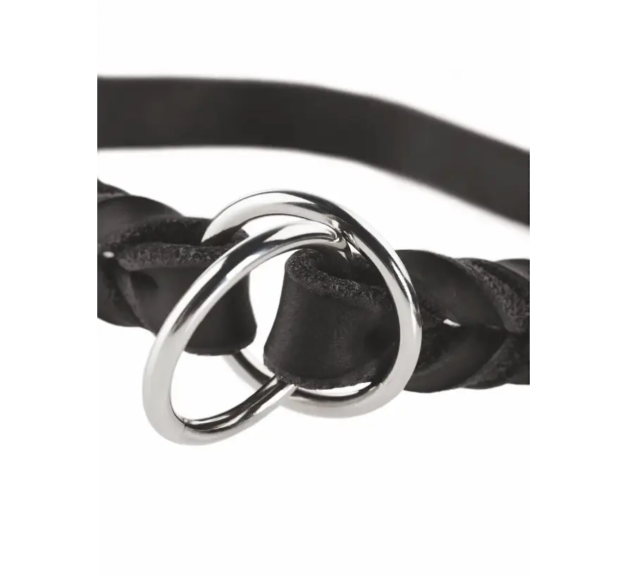 Retrieverhalsband Solid Education Zwart