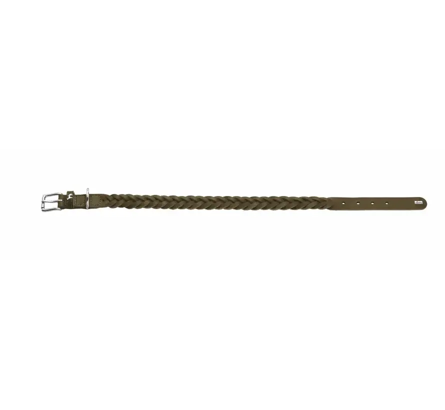 Hondenhalsband Solid Education Special Olijf