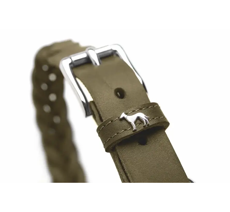 Hondenhalsband Solid Education Special Olijf