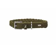 Hunter Hondenhalsband Solid Education Special Olijf