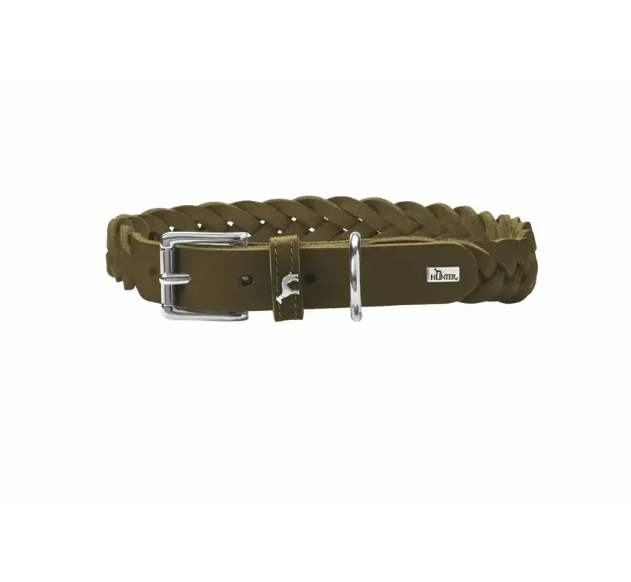 Dog Collar Solid Education Special Olive