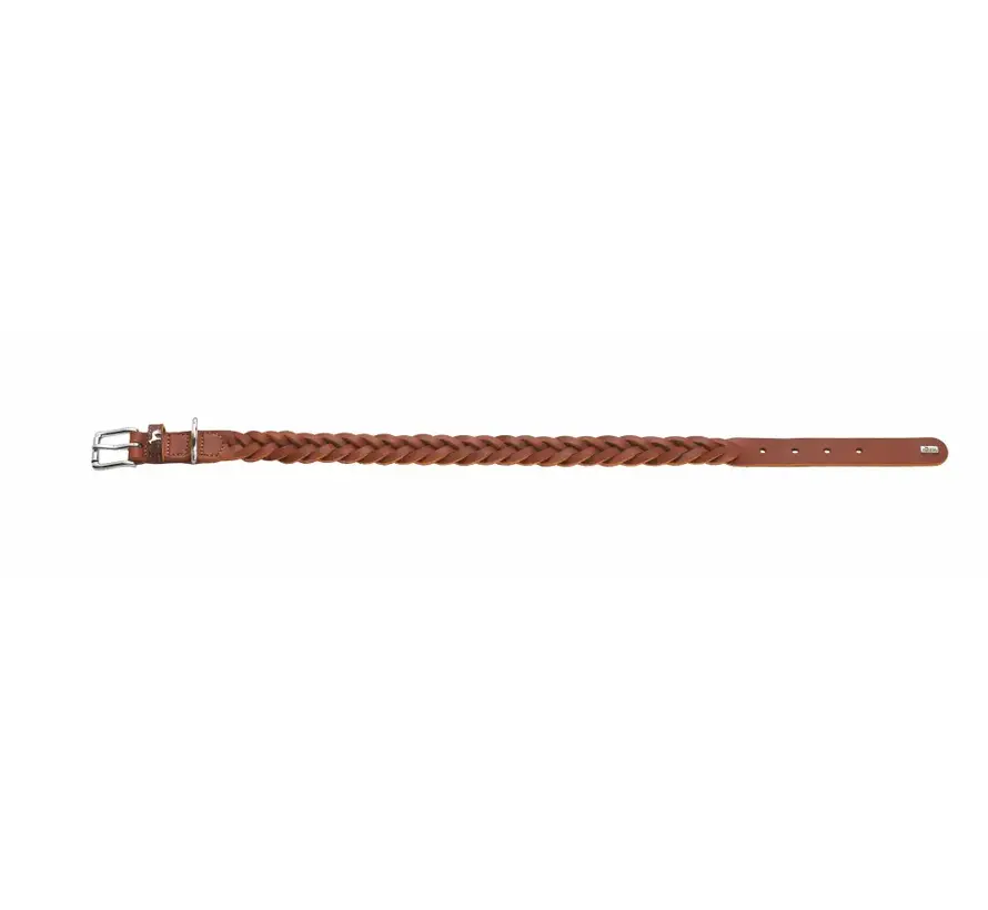 Dog Collar Solid Education Special Cognac