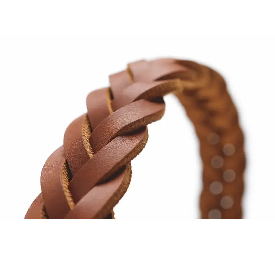 Hondenhalsband Solid Education Special Cognac