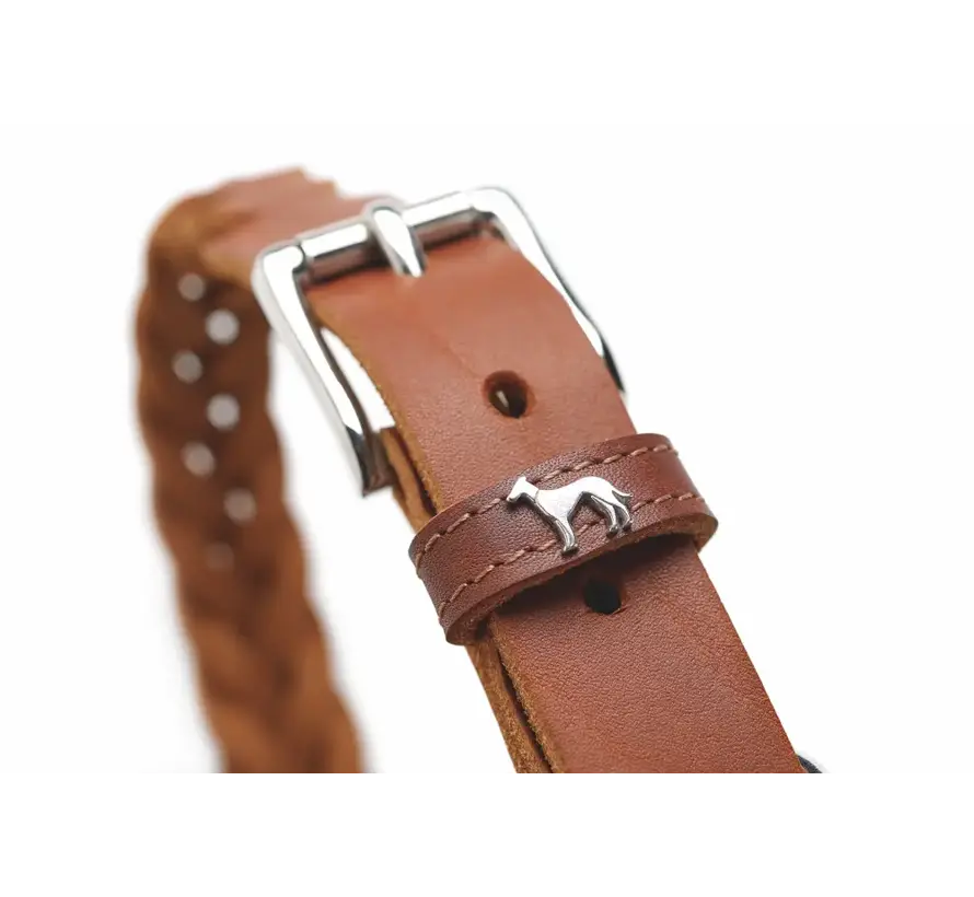 Hondenhalsband Solid Education Special Cognac