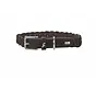 Dog Collar Solid Education Special Brown