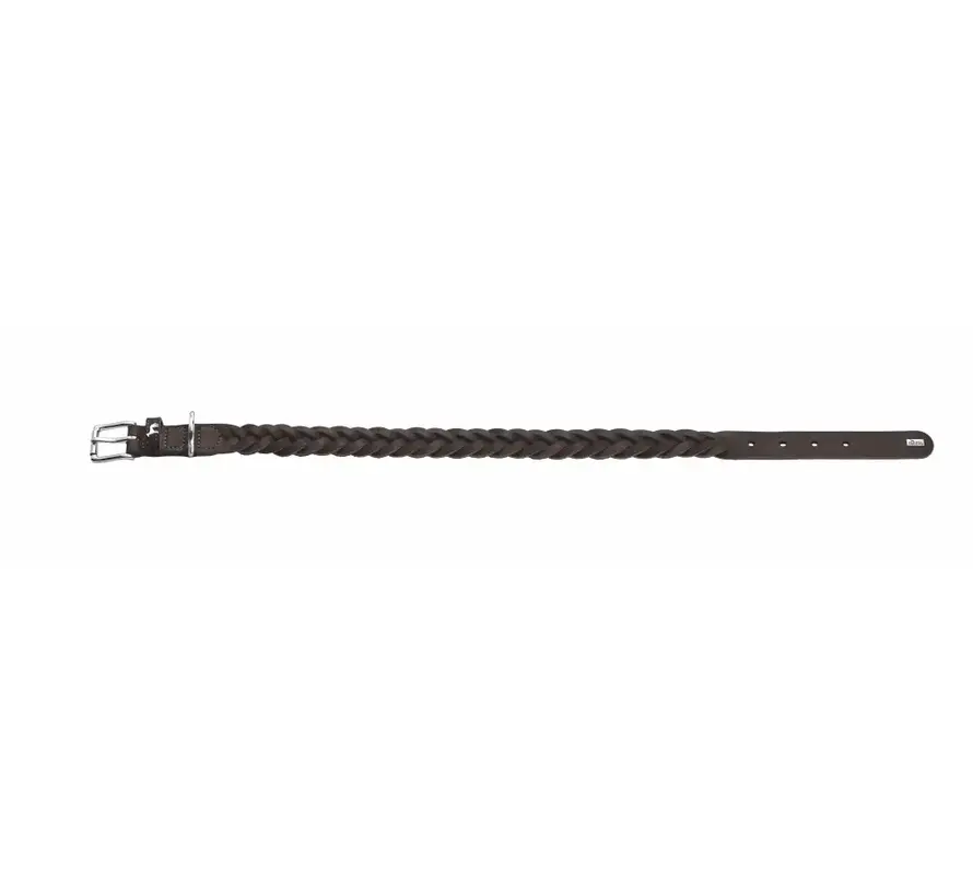 Dog Collar Solid Education Special Brown