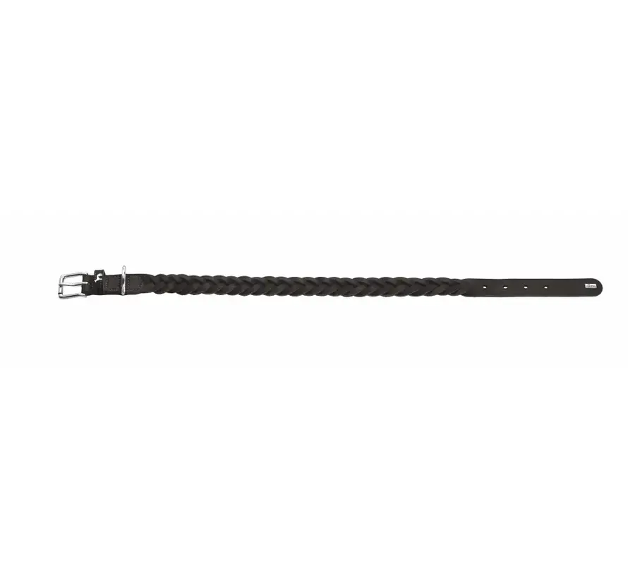 Dog Collar Solid Education Special Black
