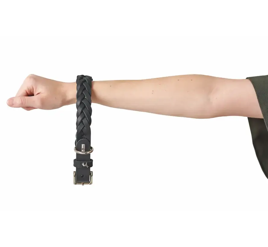 Hondenhalsband Solid Education Special Zwart