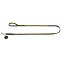 Solid Education Olive Dog Leash