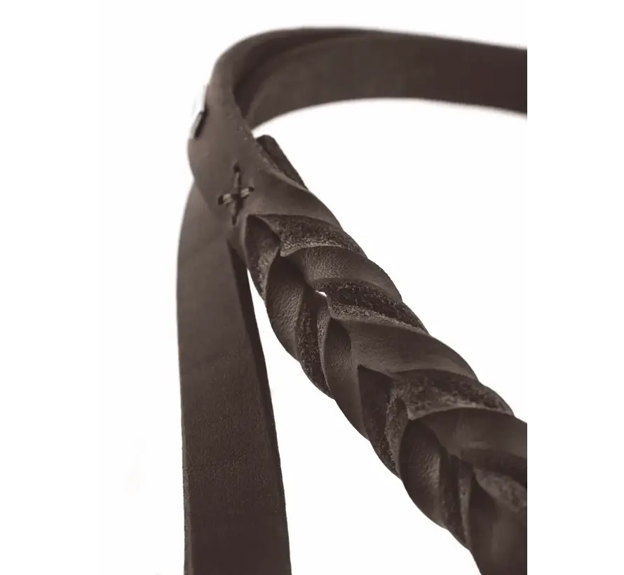 Adjustable Dog Leash Solid Education Brown