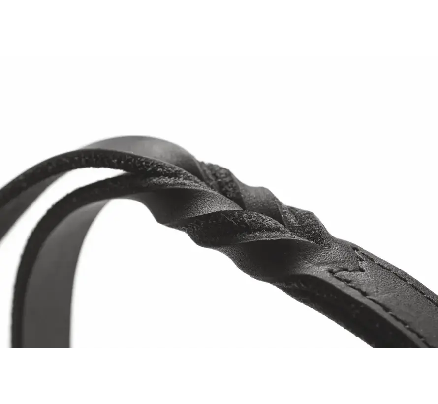 Short Dog Leash Solid Education