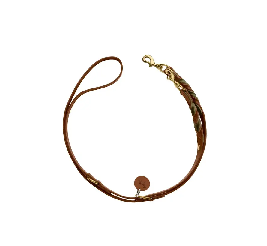 Adjustable Dog Leash Solid Education Duo Cognac