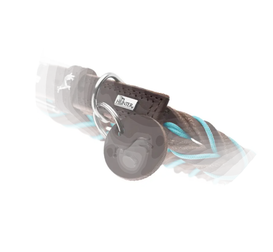 Dog Collar Solid Education Cord Brown Turquoise