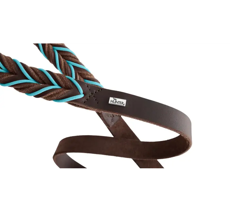 Verstelbare Hondenriem Solid Education Cord Bruin Turquoise
