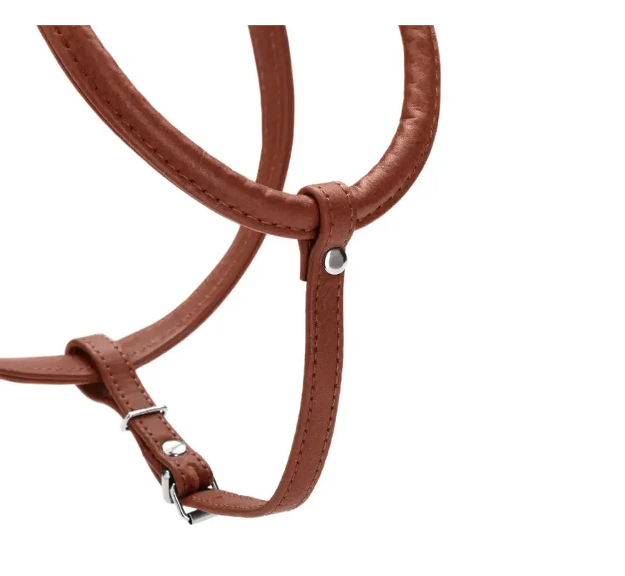 Dog Harness Round & Soft Canadian Up Cognac