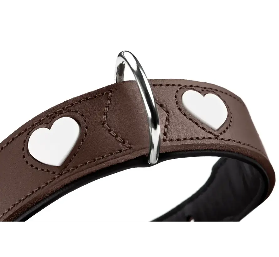 Hondenhalsband Love Bruin