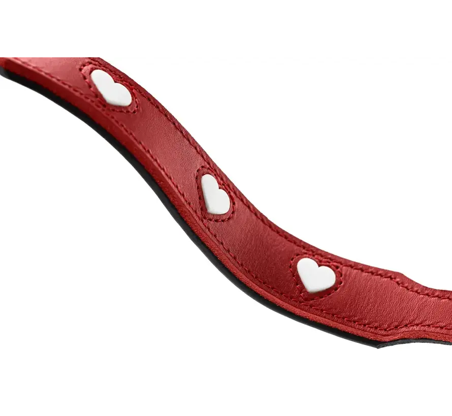 Adjustable Dog Leash Love Red
