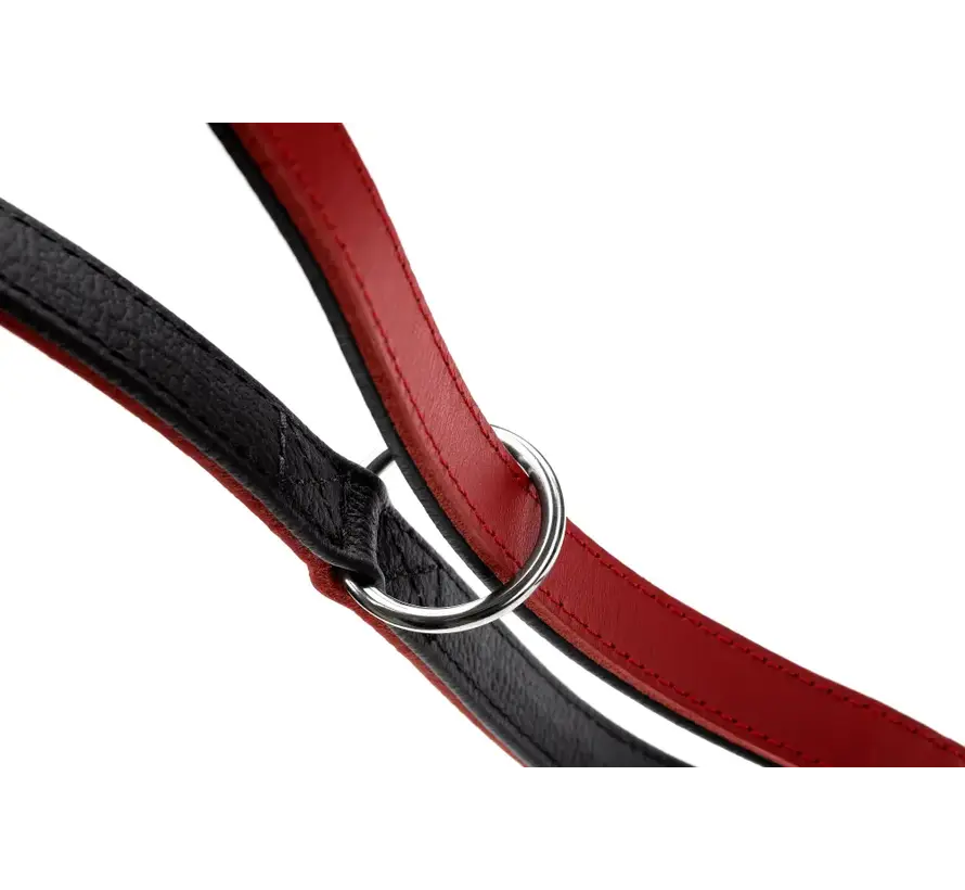 Verstelbare Hondenriem Love Rood
