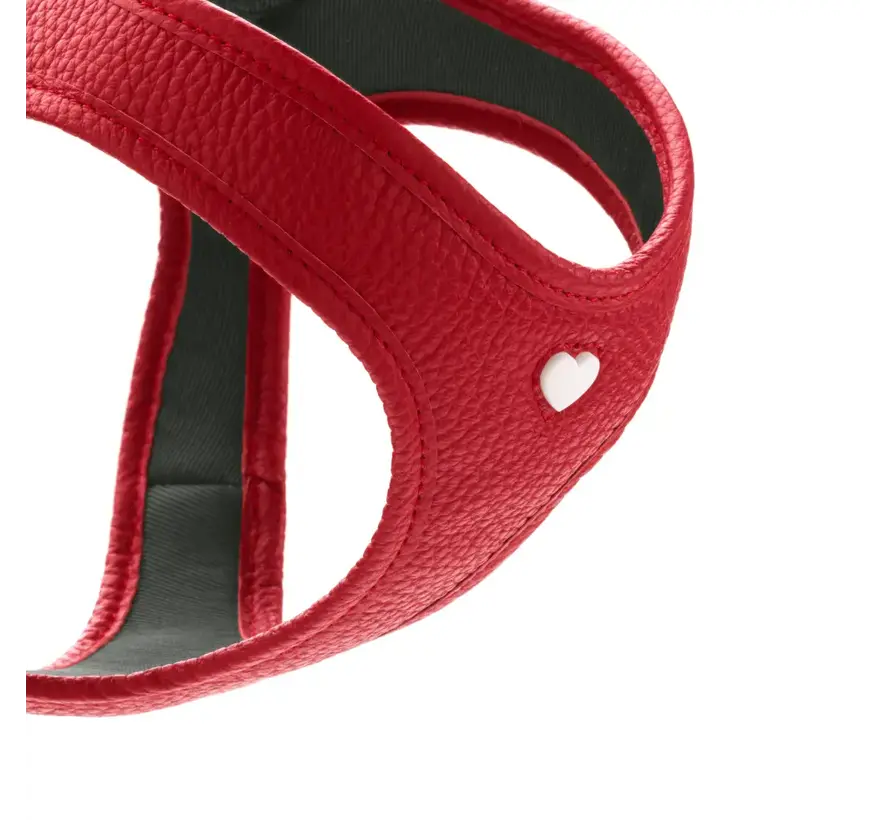 Dog Harness Love Red