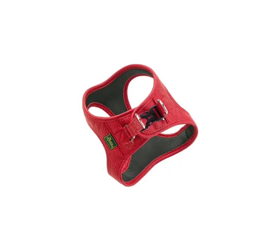 Dog Harness Love Red