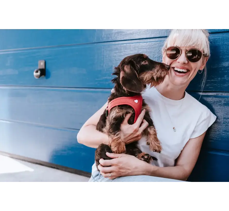 Dog Harness Love Red
