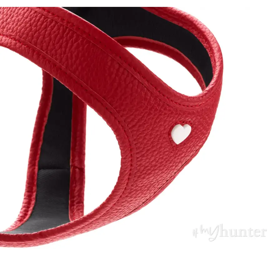 Dog Harness Love Red