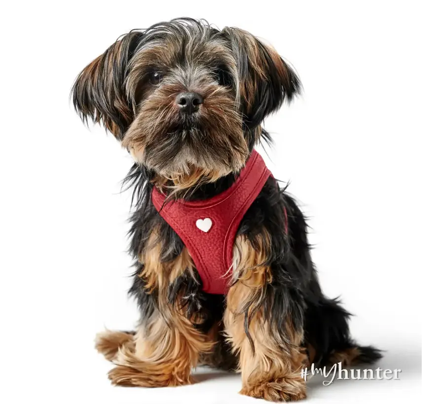 Dog Harness Love Red