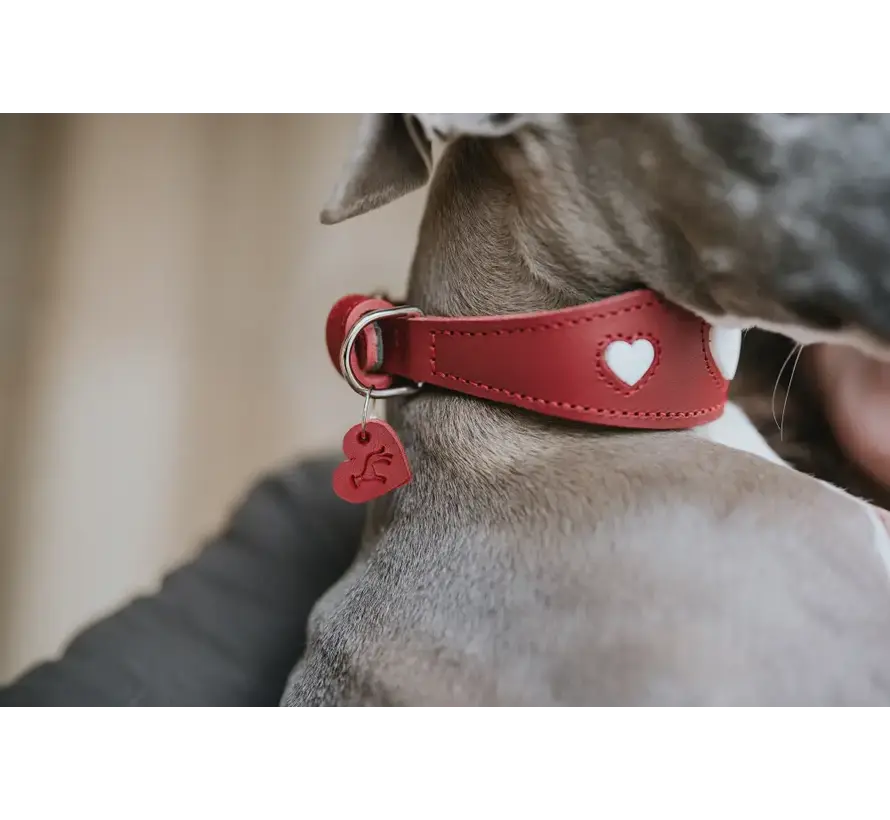 Greyhound Collar Love Red