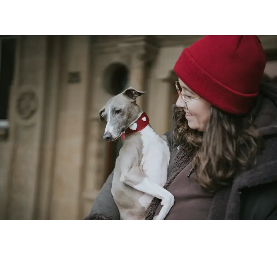 Greyhound Collar Love Red