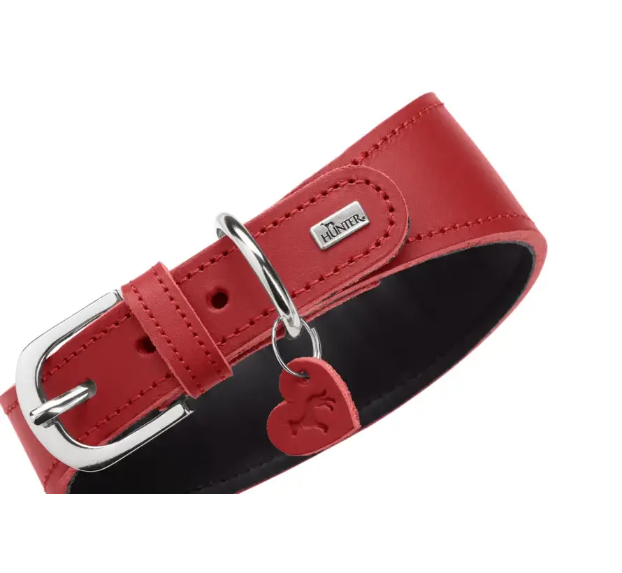 Greyhound Collar Love Red